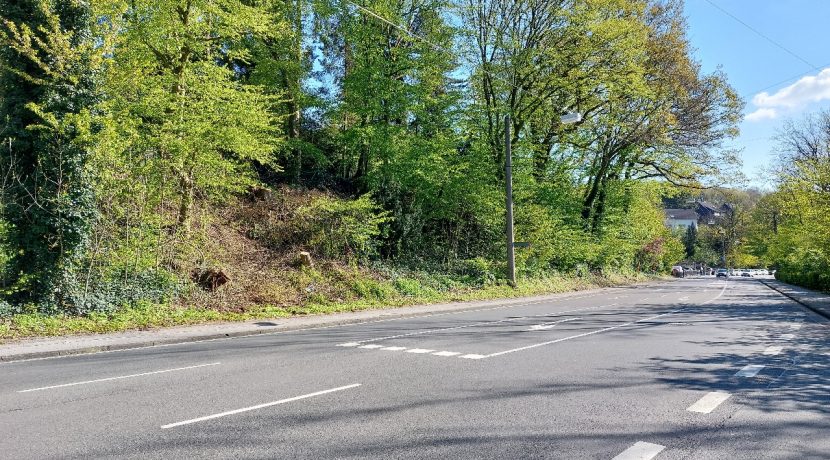 Die Kölner Straße Richtung Zent