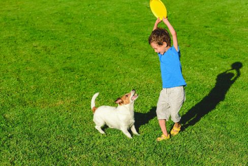 Spielen im eigenen Garten