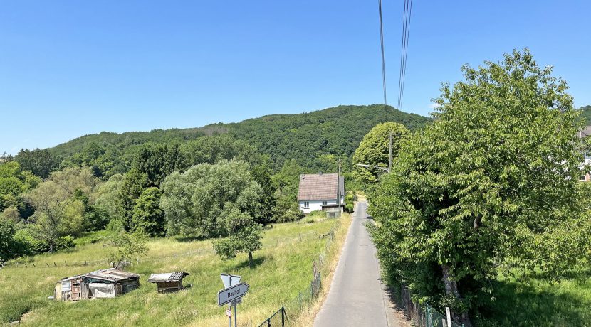 Blick zur Straße