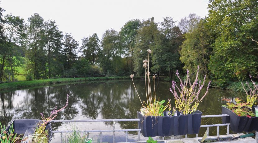 Blick auf den See von der Terrasse