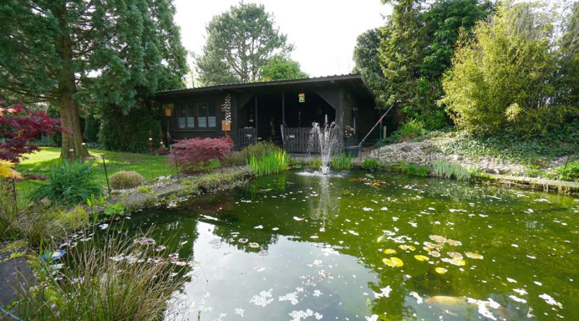 Teich mit Gartenhaus