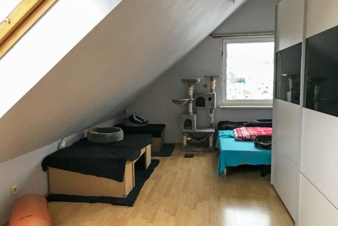 Schlaf- / Kinderzimmer DG