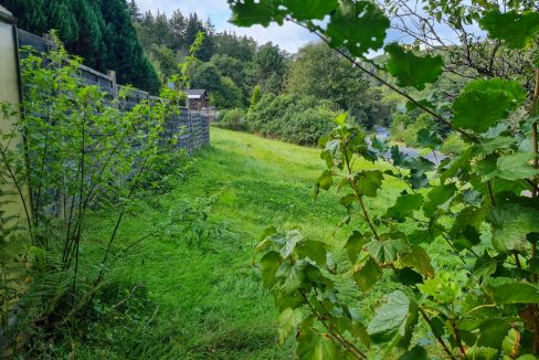 Blick auf die Wiese