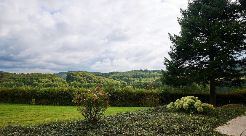 Ausblick auf Wald und Wiesen