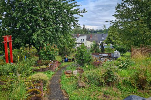 Blick in den Garten