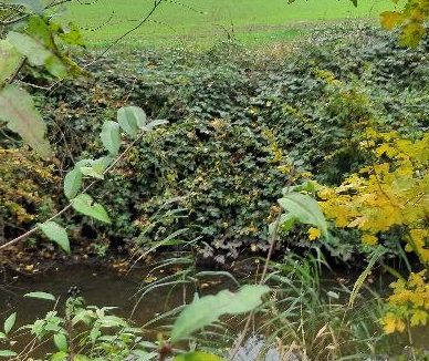 .. über den Wasserlauf