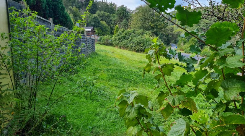 Blick auf die Wiese