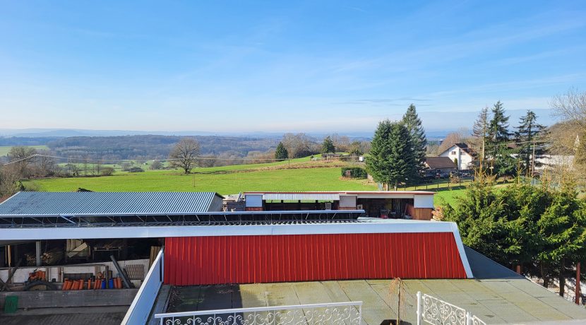 Aussicht vom Balkon