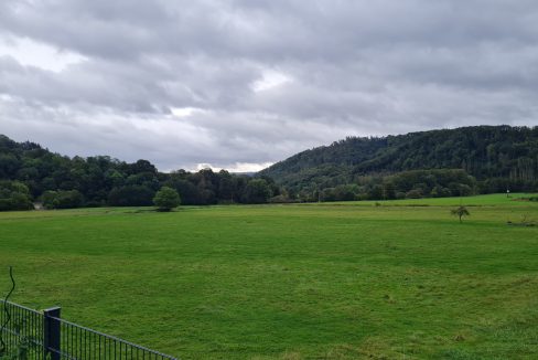 Blick ins Grüne