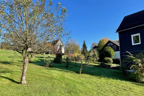 großer Garten mit Gestaltungsmöglichkeiten