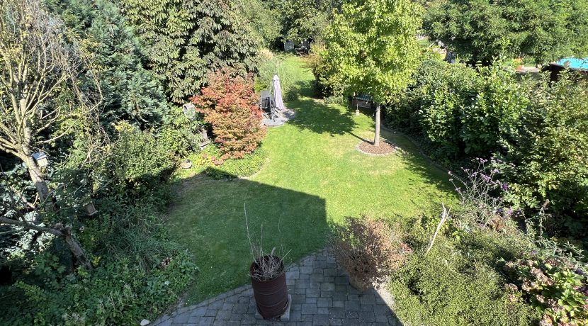 Blick in den Garten