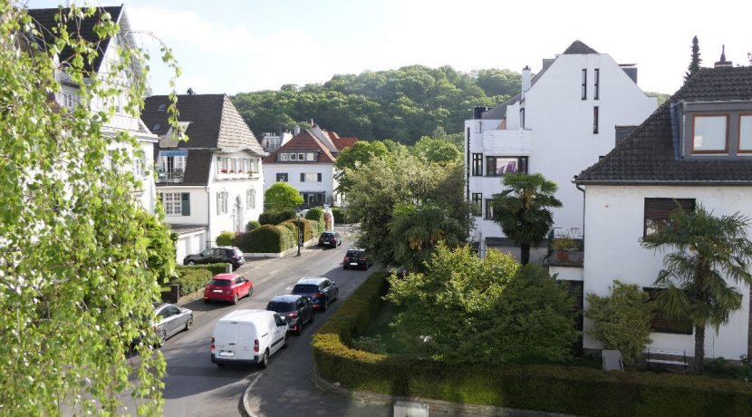 Blick auf den Grafenberger Wald