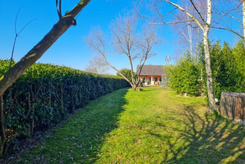 Blick in den Garten