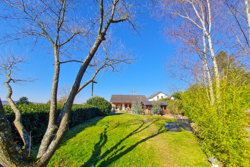 Blick in den Garten